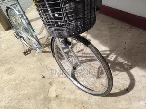 ජපන් පාපැදිය