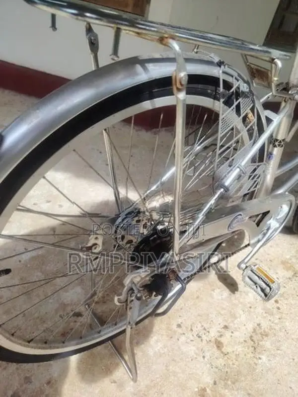 ජපන් පාපැදිය