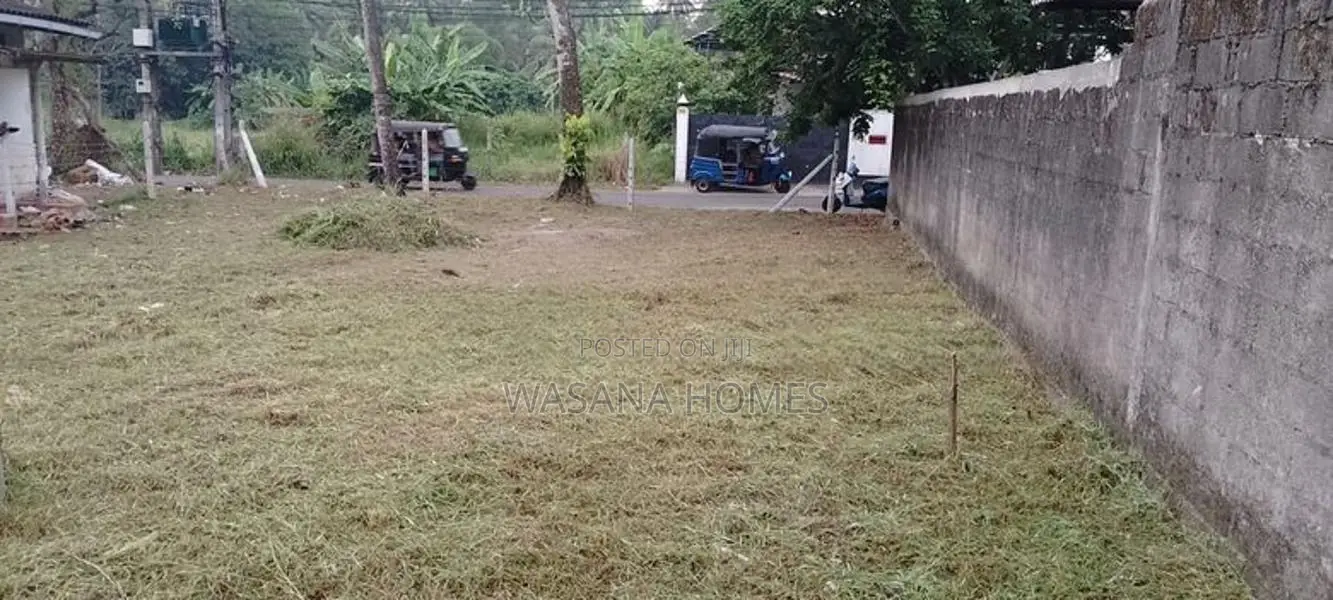 Beautiful Land for Sale Homagema