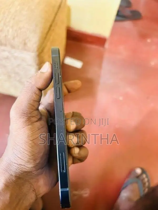 Apple iPhone 12 (Used)