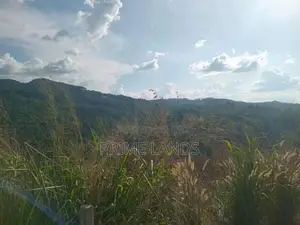 Land for Sale Galaha