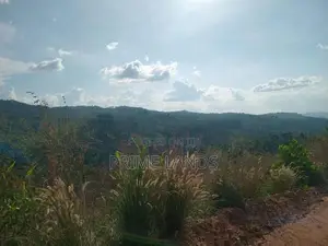 Land for Sale Galaha