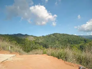 Land for Sale Galaha