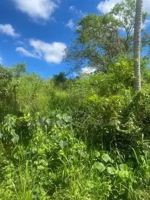 Land For Sale Nadimala Dehiwala