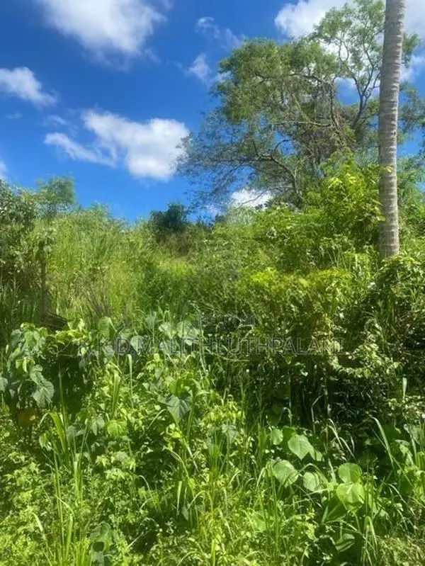 Land For Sale Nadimala Dehiwala