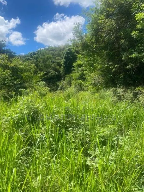 Land For Sale Nadimala Dehiwala