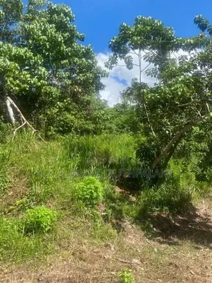 Land For Sale Nadimala Dehiwala