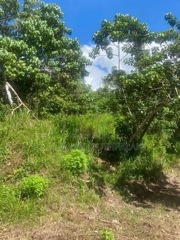 Land For Sale Nadimala Dehiwala