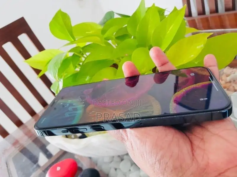 Apple iPhone 12 Pro Max (Used)