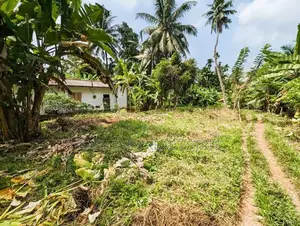 Land for Sale in Kirindiwela