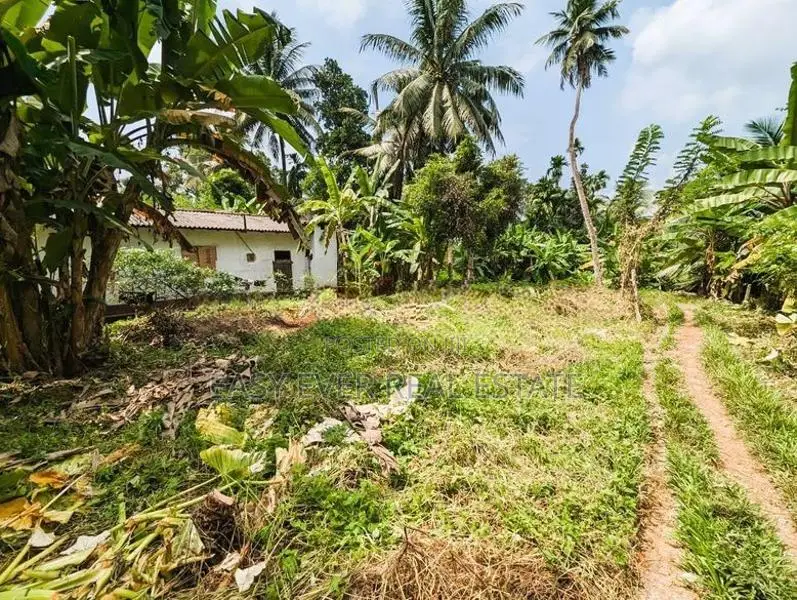 Land for Sale in Kirindiwela