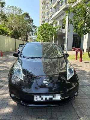 Nissan Leaf 2014
