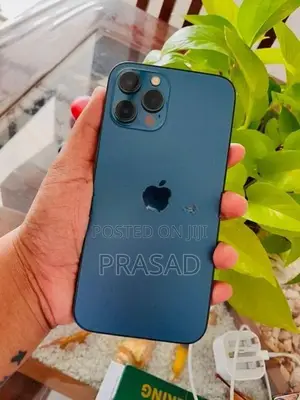 Apple iPhone 12 Pro Max (Used)