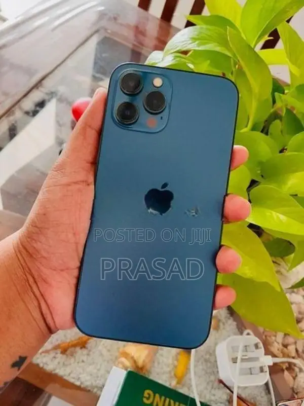 Apple iPhone 12 Pro Max (Used)