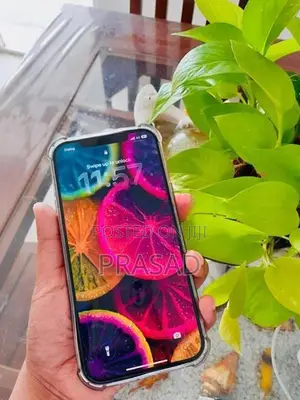 Apple iPhone 12 Pro Max (Used)