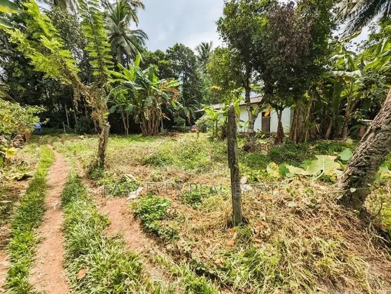 Land for Sale in Kirindiwela