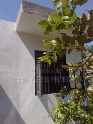 කාමරයක් කුලියට අංගොඩ මුල්ලේරියාව