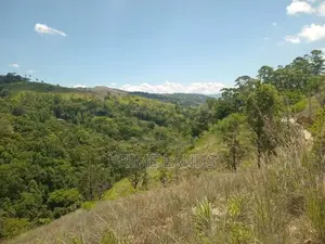 Land for Sale Deltota