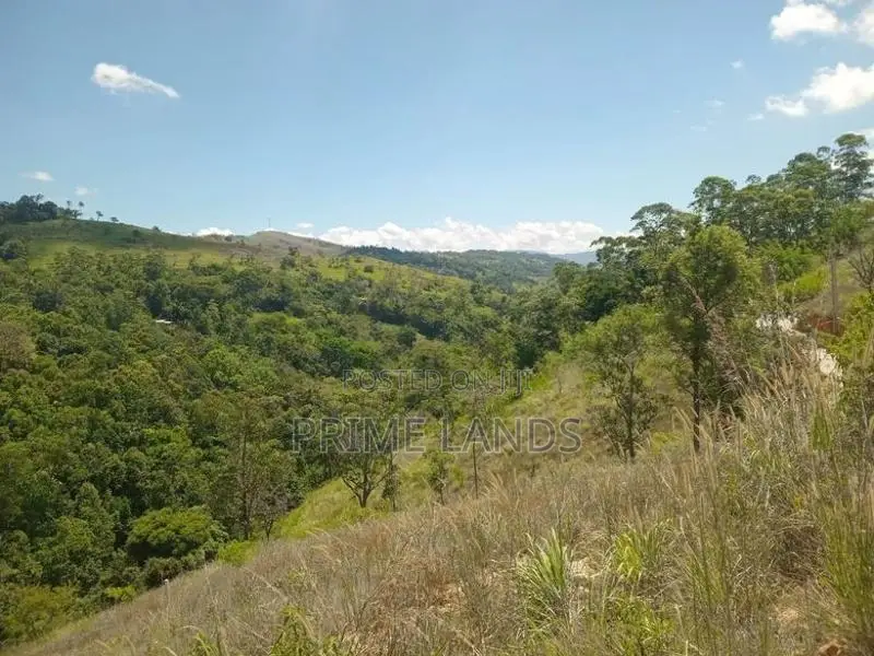 Land for Sale Deltota
