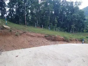 Land for Sale Nelundeniya