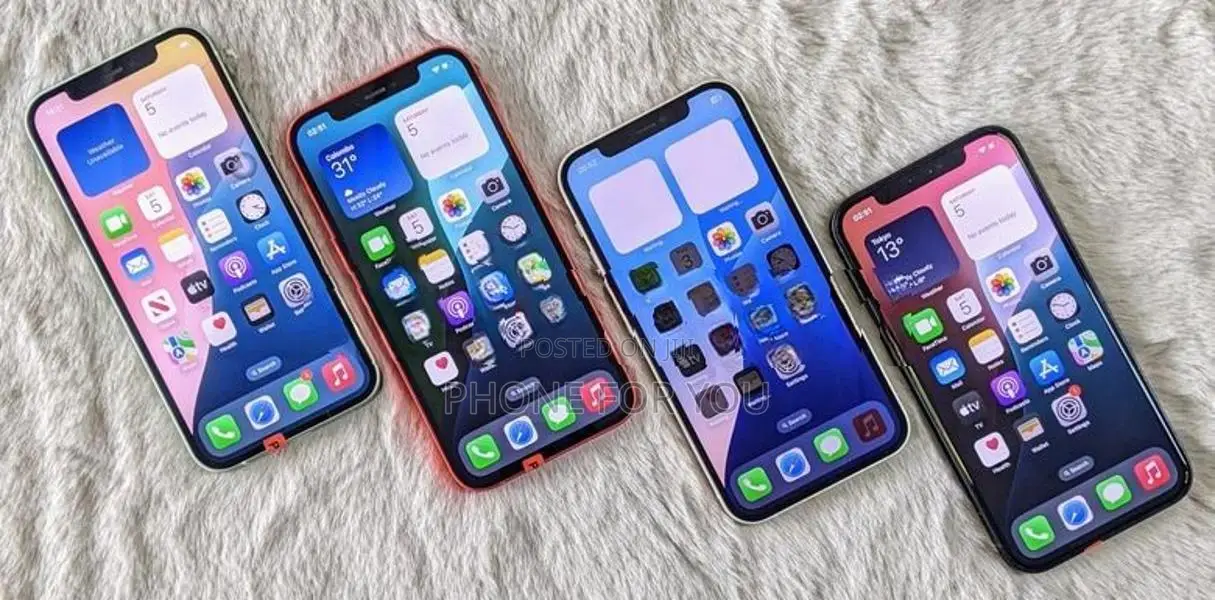 Apple iPhone 12 (Used)