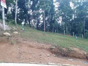 Land for Sale Nelundeniya