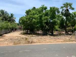 Land for sale Thannamunai