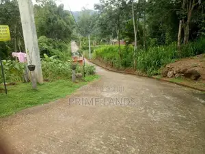 Land for Sale Molagoda