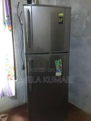 Singer Geo R600a Refrigerator