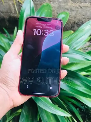 Apple iPhone 13 (Used)