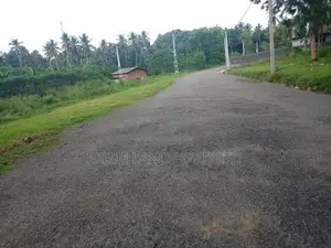 Land in Diulapitiya - Walihinda