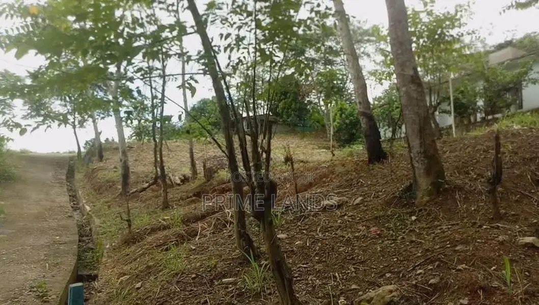 Land for Sale Molagoda