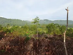 Land For Sale මතුගම