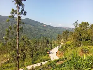 Land for Sale Nillamba