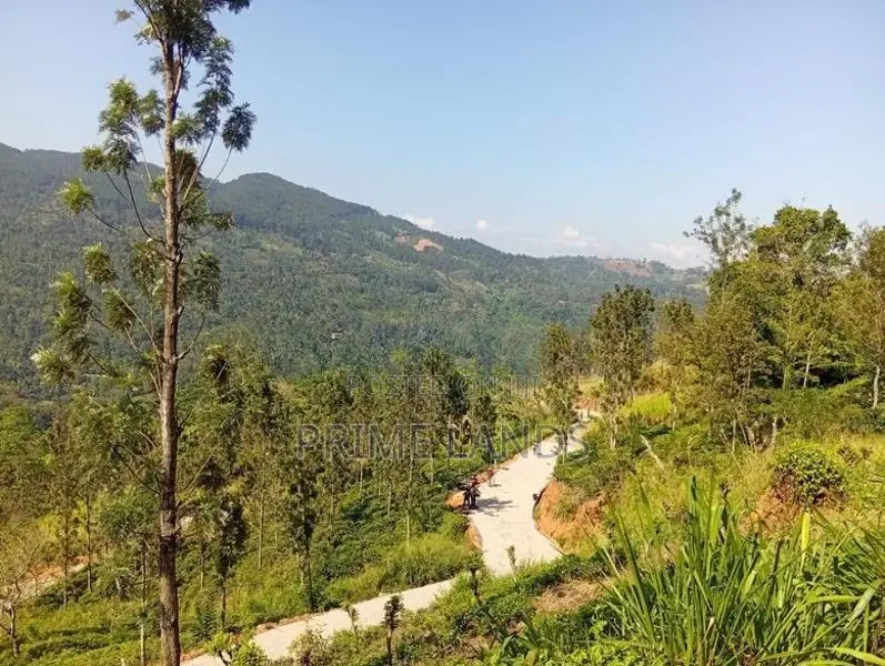 Land for Sale Nillamba