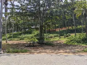 Land for Sale Habaraduwa Dikkumbura Road