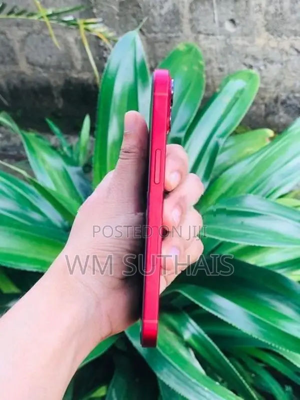 Apple iPhone 13 (Used)
