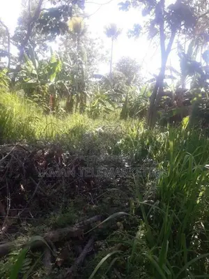 Bare Land for Rent – Kiribathgoda