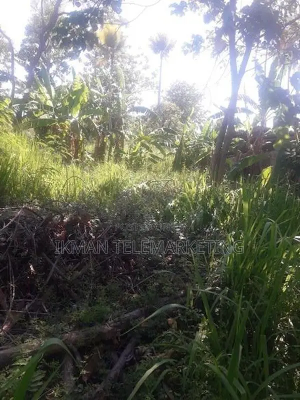 Bare Land for Rent – Kiribathgoda