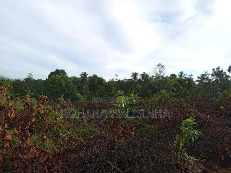 Land For Sale මතුගම