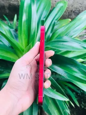 Apple iPhone 13 (Used)