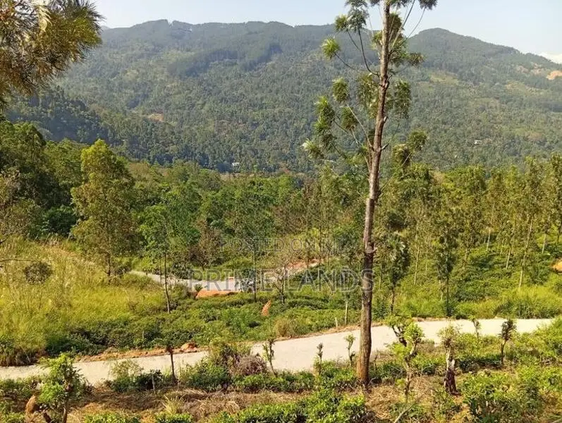 Land for Sale Nillamba