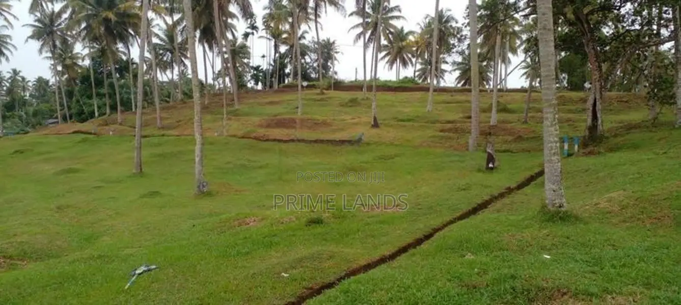 Land Plots in Labeema