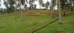 Land Plots in Labeema