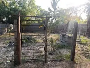 Land for Sale in Akkaraipattu