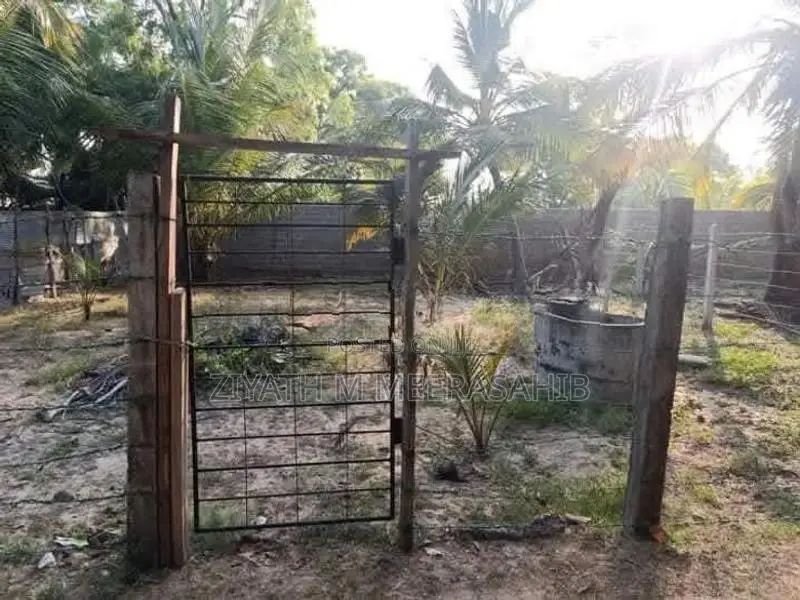 Land for Sale in Akkaraipattu