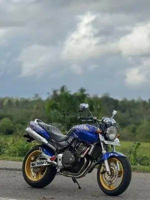 Honda Hornet 250 2007