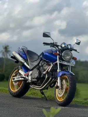 Honda Hornet 250 2007