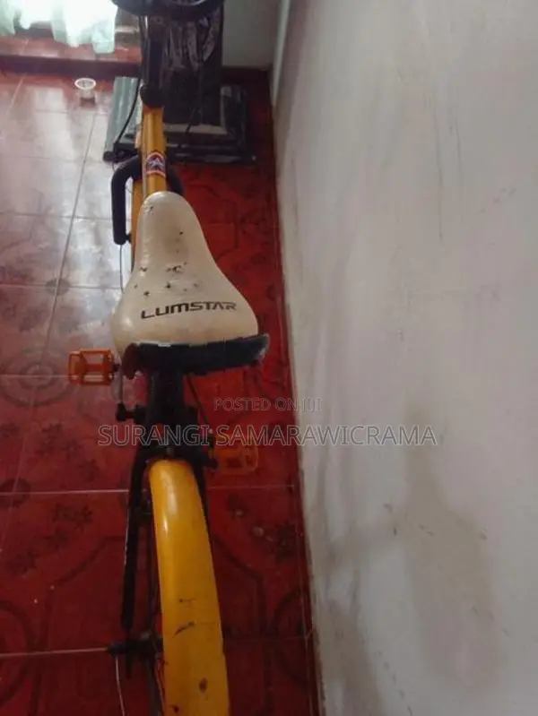 Lumstar Bicycle