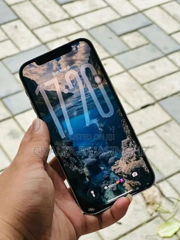 Apple iPhone 12 Pro (Used)